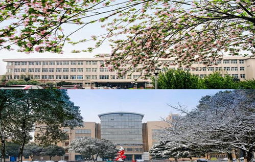 江苏科技大学专接本最全解答