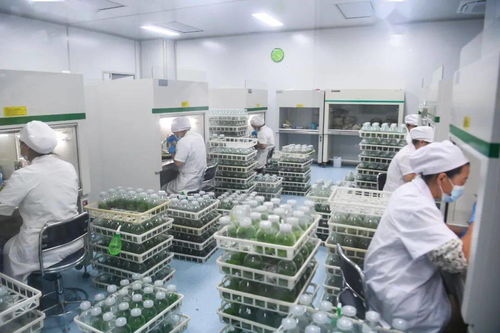 曹路宝深入响水县开展 两在两同 建新功行动时强调 身体走进基层,思想走进群众,工作走进实际,让党旗高高飘扬在盐阜大地基层一线 项目